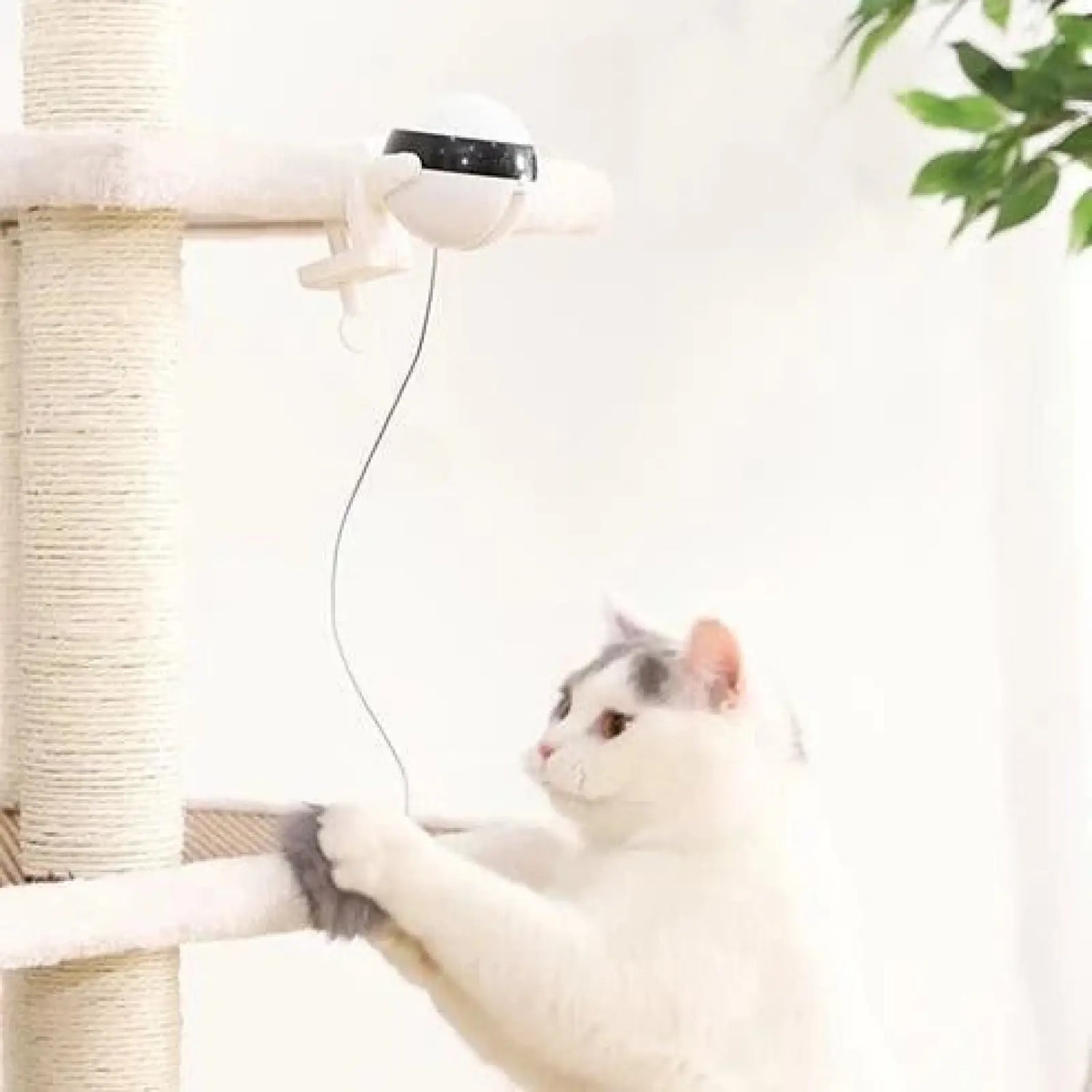 Interactive Electronic Motion Cat Toy for Pets