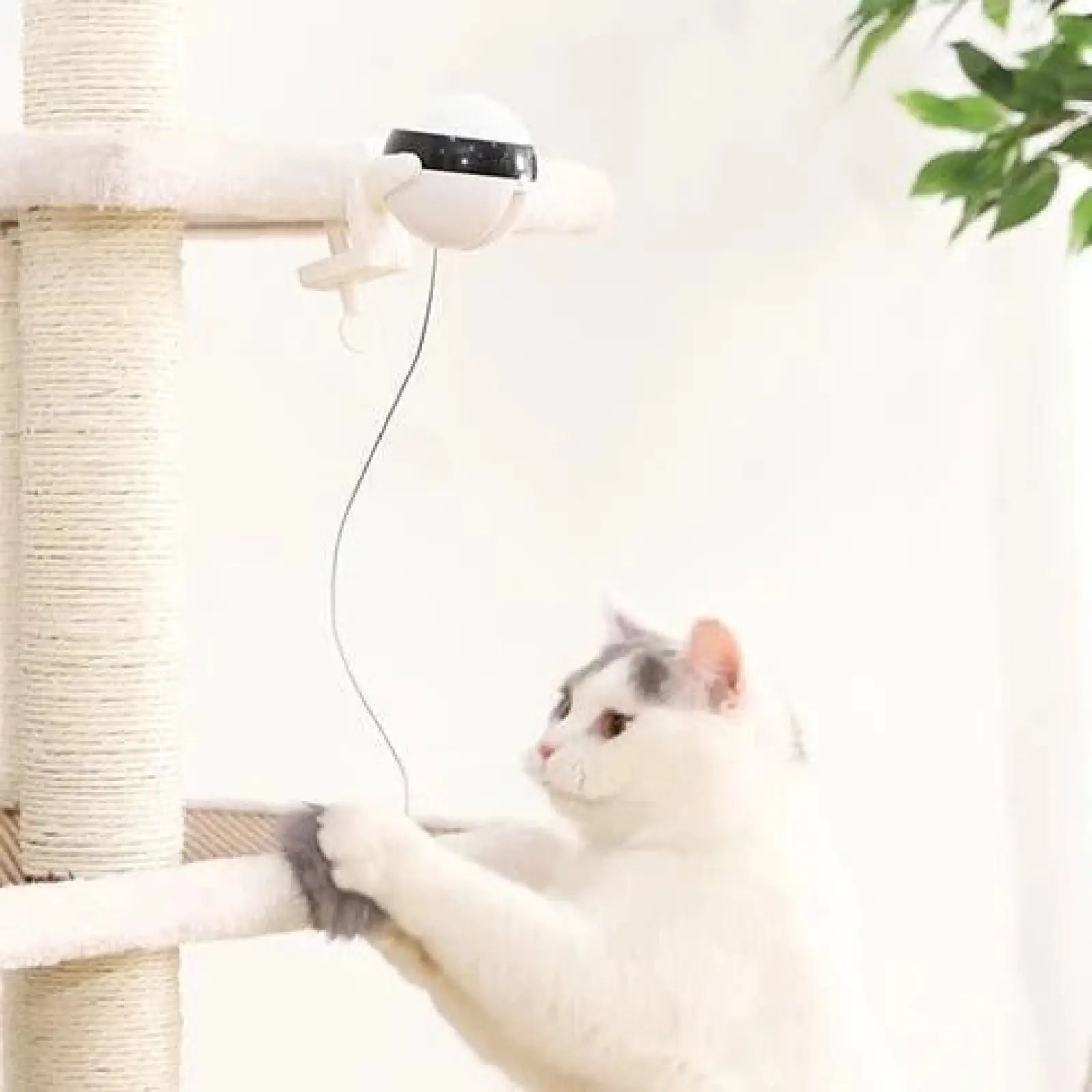 Interactive Electronic Motion Cat Toy for Pets