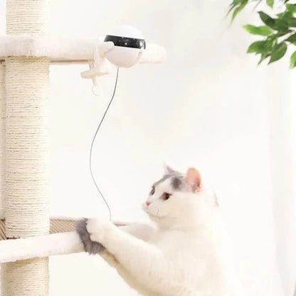 Interactive Electronic Motion Cat Toy for Pets
