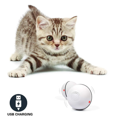 Interactive Led Cat Toy Ball with Catnip and Feathers