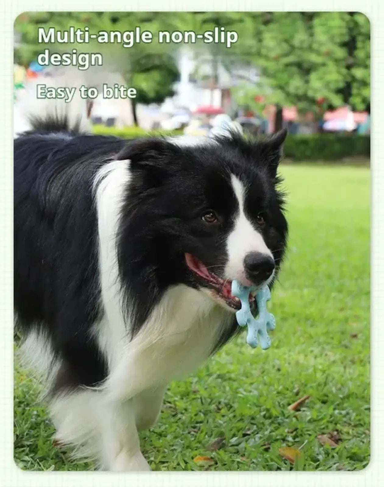 Interactive Silicone Dog Flywheel Pet Toy Discs