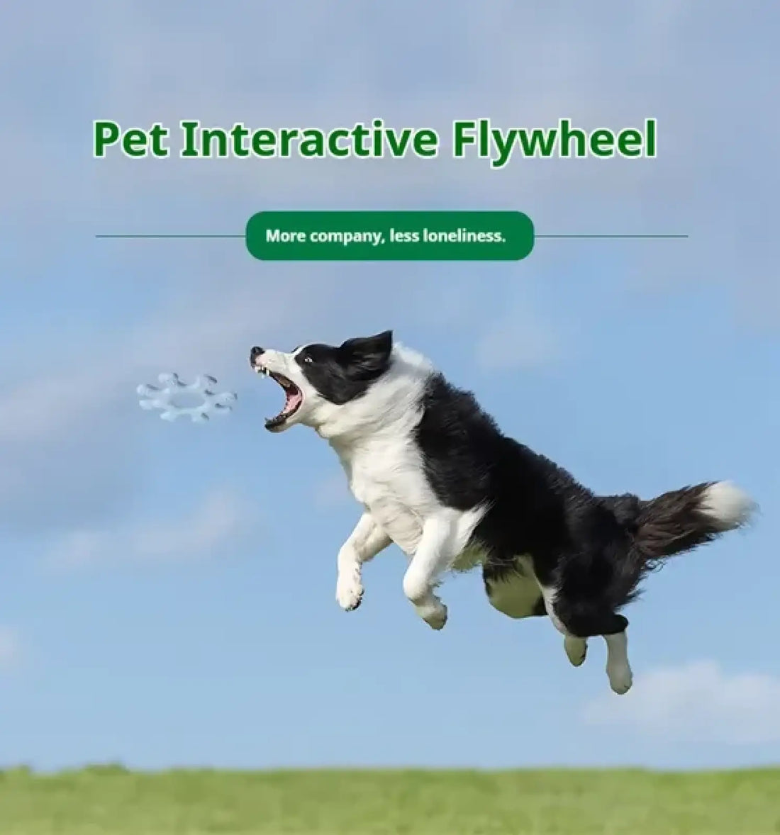 Interactive Silicone Dog Flywheel Pet Toy Discs