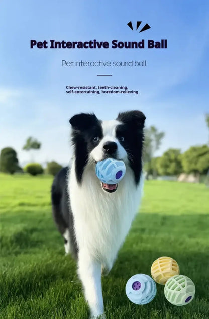 Interactive Sound Ball Squeaky Toy for Pets