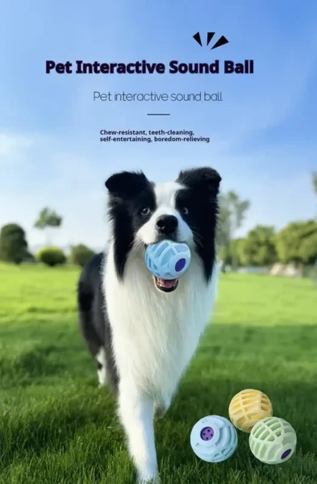 Interactive Sound Ball Squeaky Toy for Pets