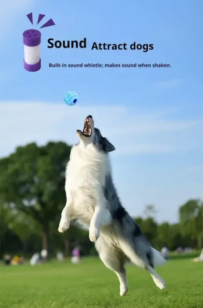 Interactive Sound Ball Squeaky Toy for Pets