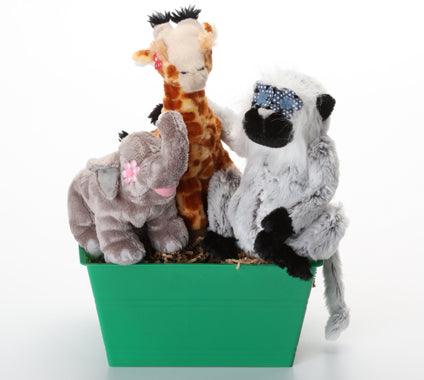 Into the Wild Dog &amp; Puppy Gift Basket: 3 Sizes / Choice of Squeak or Non-Squeak