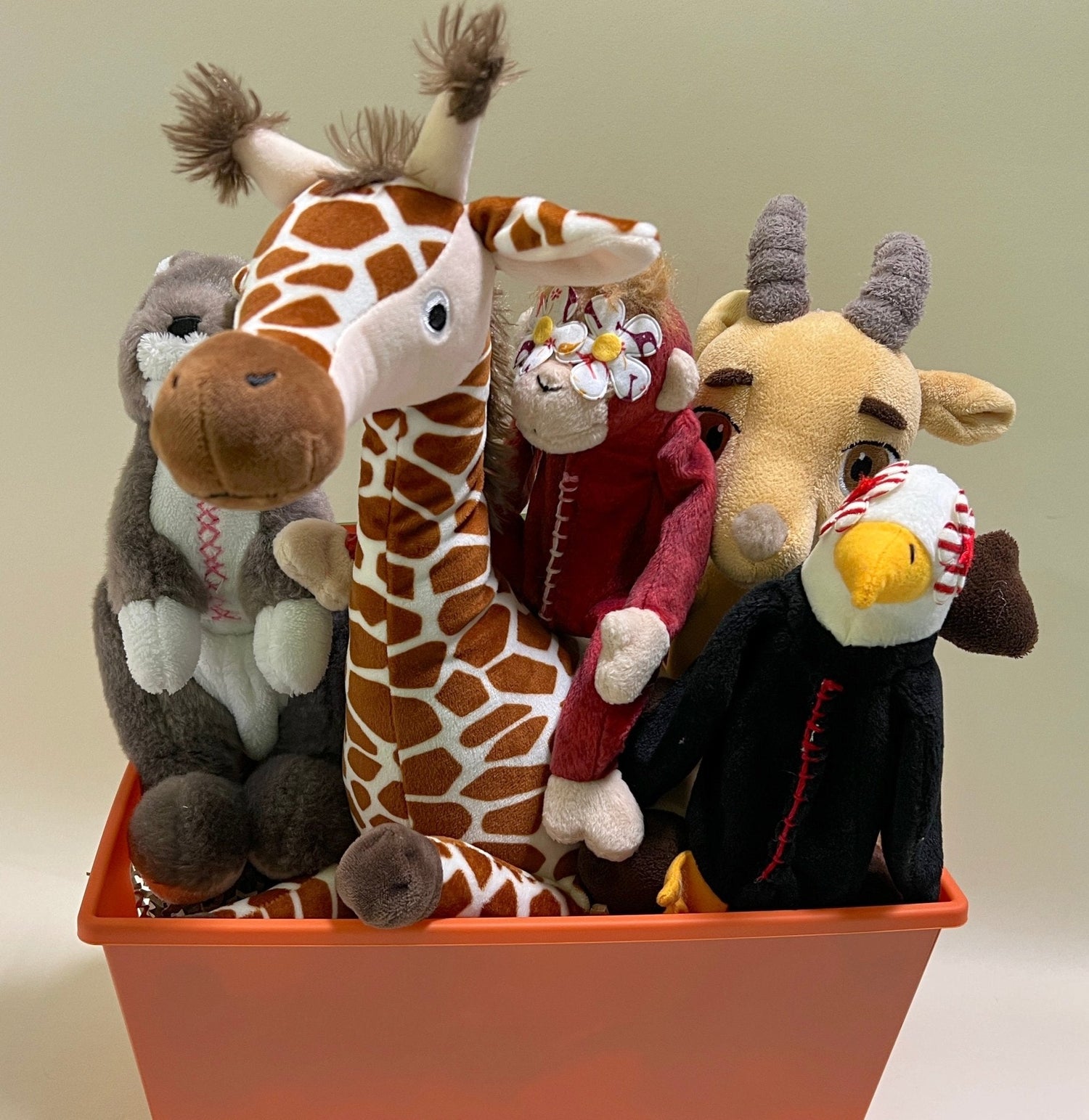 Into the Wild Dog &amp; Puppy Gift Basket: 3 Sizes / Choice of Squeak or Non-Squeak