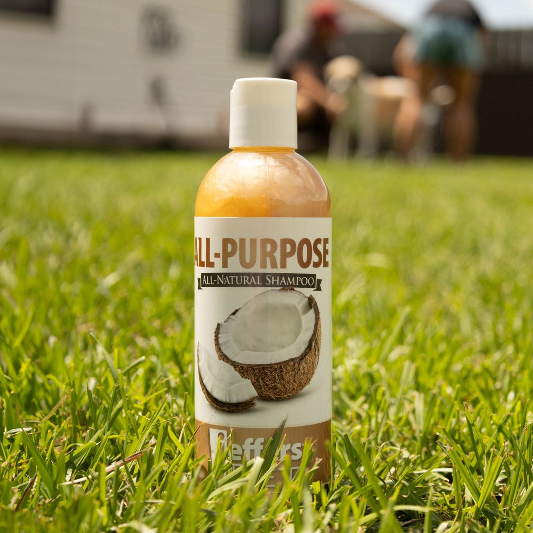 Jeffers Pet Tearless All-Purpose All-Natural Coconut Oil Shampoo for Dogs &amp; Cats