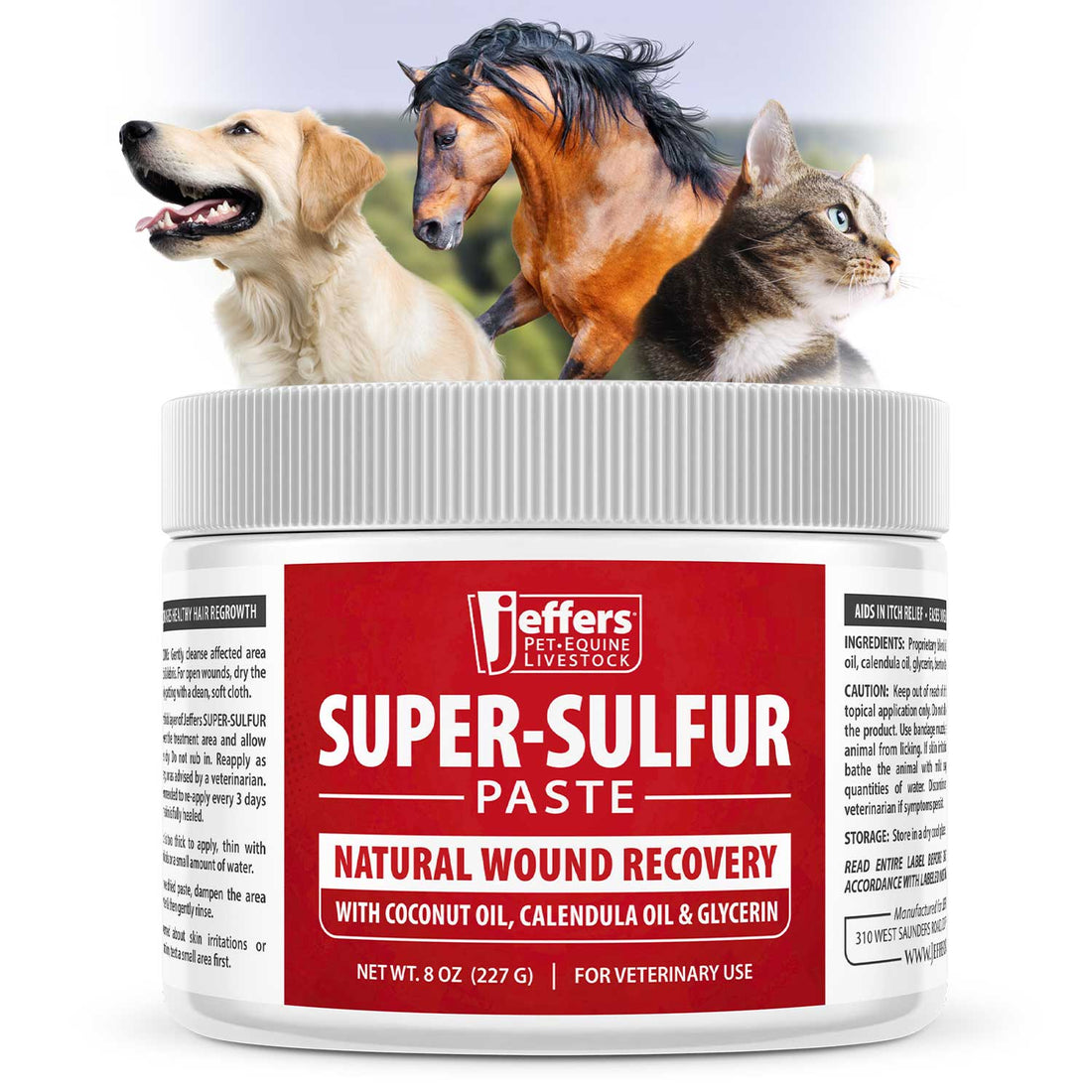 Jeffers Super-Sulfur Skin &amp; Wound Healing Paste for Pets, Horses, &amp; Livestock