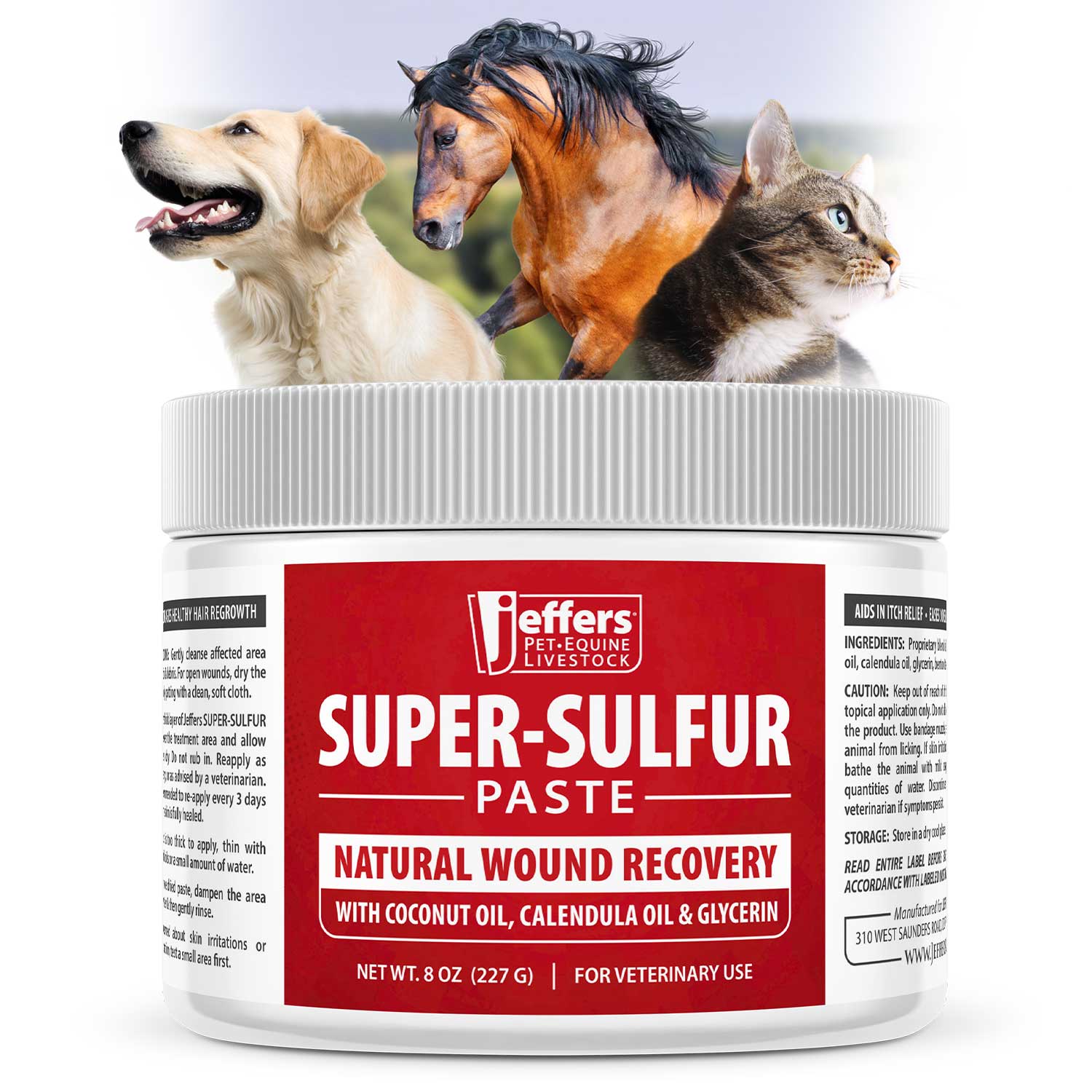 Jeffers Super-Sulfur Skin &amp; Wound Healing Paste for Pets, Horses, &amp; Livestock