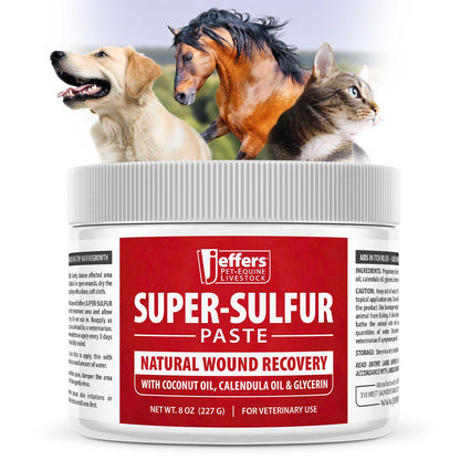 Jeffers Super-Sulfur Skin &amp; Wound Healing Paste for Pets, Horses, &amp; Livestock