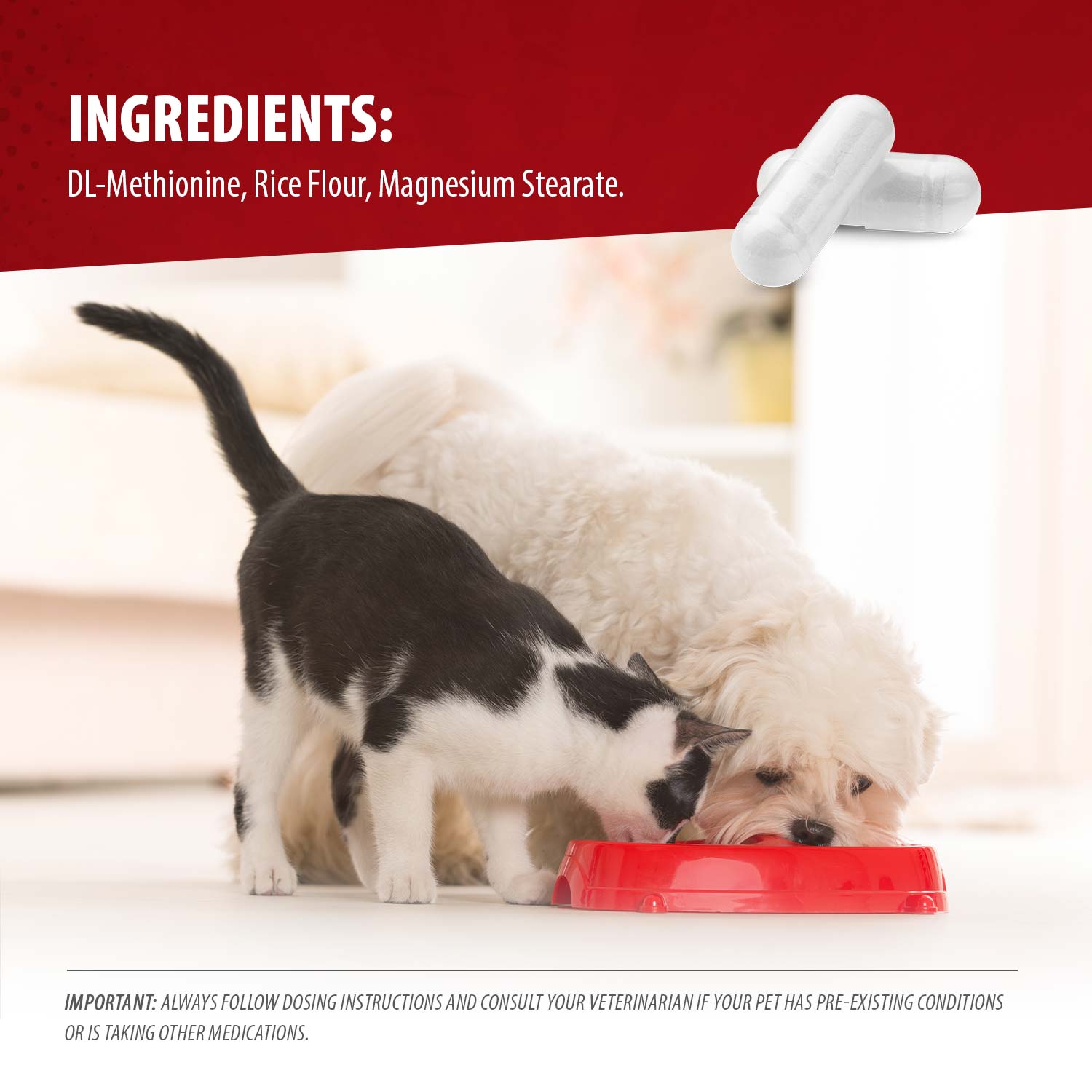 Jeffers Uracid DL-Methionine 0.2g Capsules for Dogs &amp; Cats – Supports Urinary Tract, Reduces Urine Odor, Prevents Stones