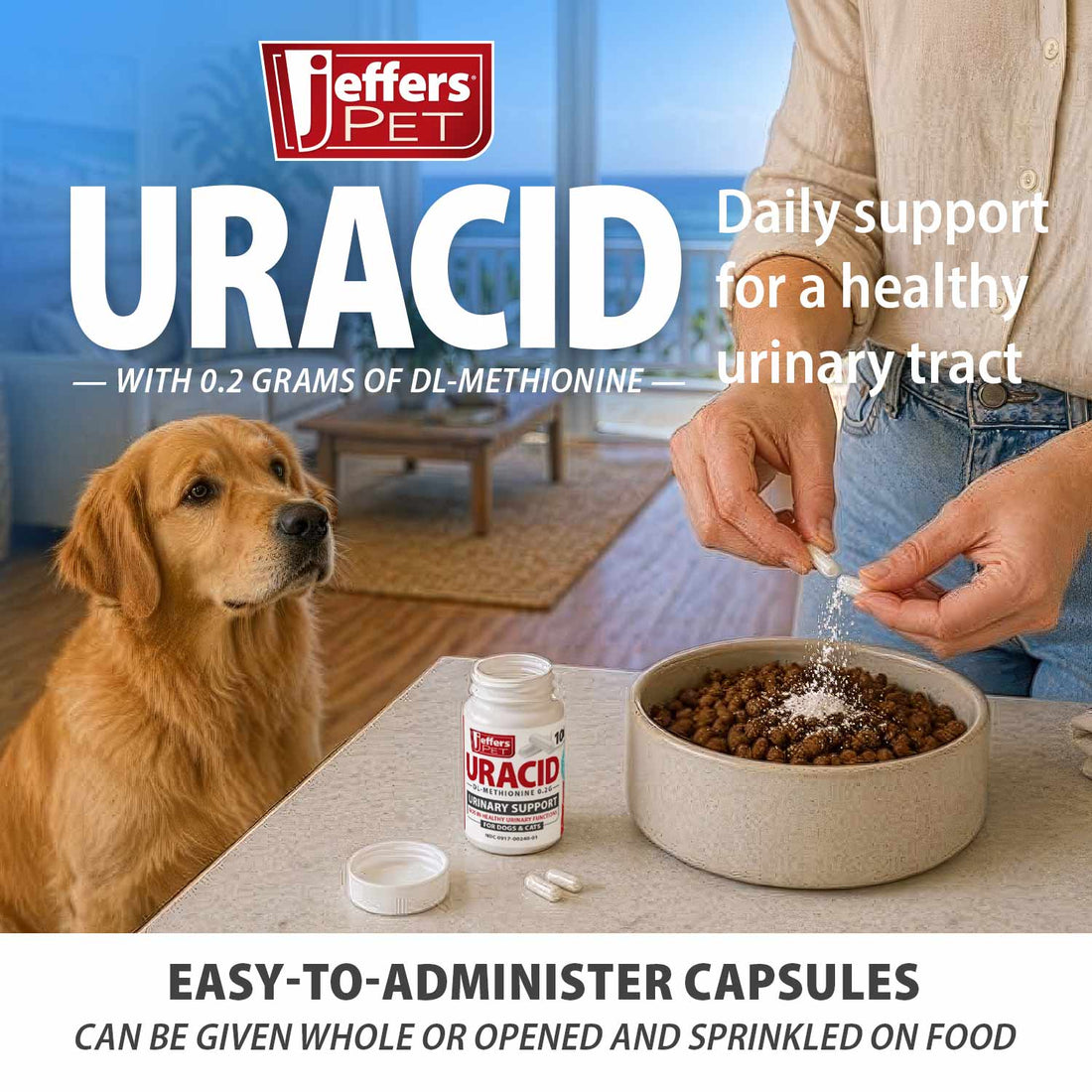 Jeffers Uracid DL-Methionine 0.2g Capsules for Dogs &amp; Cats – Supports Urinary Tract, Reduces Urine Odor, Prevents Stones