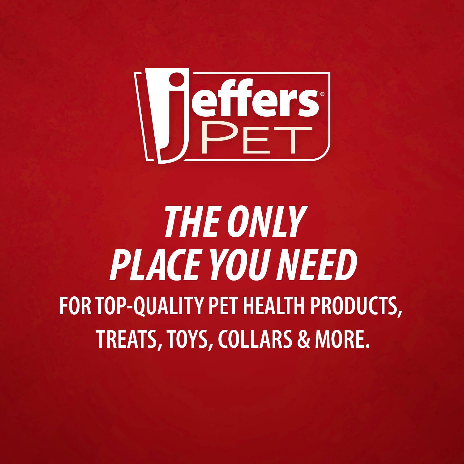 Jeffers Watermelon Natural Rubber Treat Dispensing Dog Dental Chew Toy with Vanilla Scent