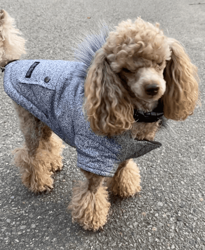 JUST $5! Bailey &amp; Bella Grey Parka with Faux Fur Trim: Small