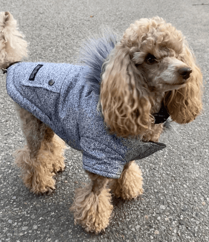 JUST $5! Bailey &amp; Bella Grey Parka with Faux Fur Trim: Small