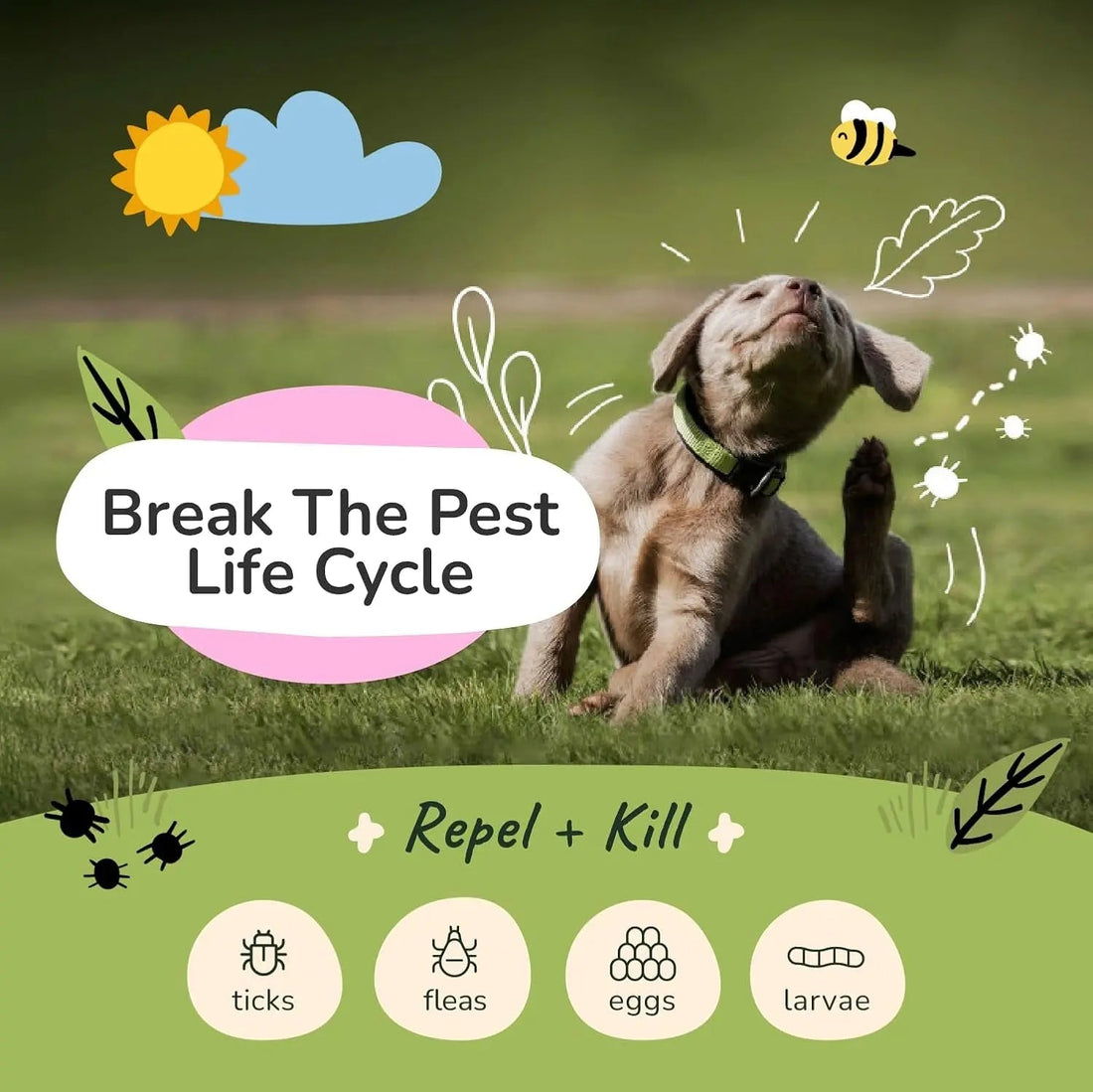 kin+kind Flea &amp; Tick Shampoo &amp; Spray Kit for Dogs &amp; Cats – Plant-Based