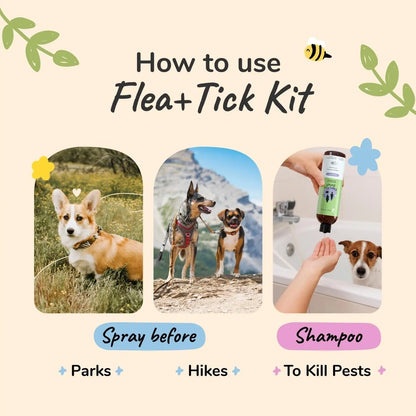 kin+kind Flea &amp; Tick Shampoo &amp; Spray Kit for Dogs &amp; Cats – Plant-Based