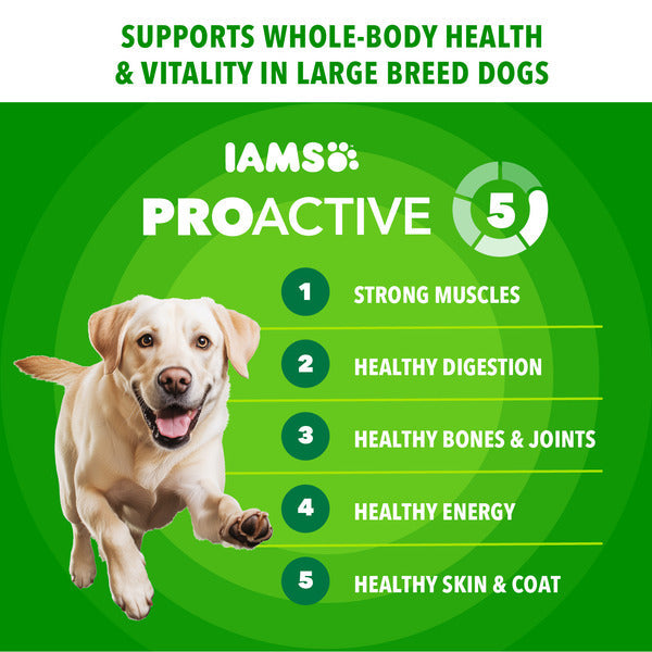 IAMS Proactive Health Large Breed Adult Dry Dog Food Chicken &amp; Whole Grain Recipe, 30 lb. Bag