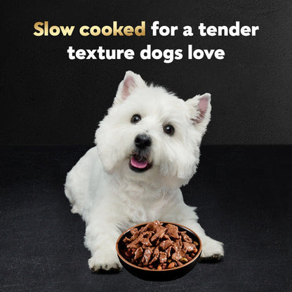 Cesar Filets in Gravy Wet Dog Food Variety Pack