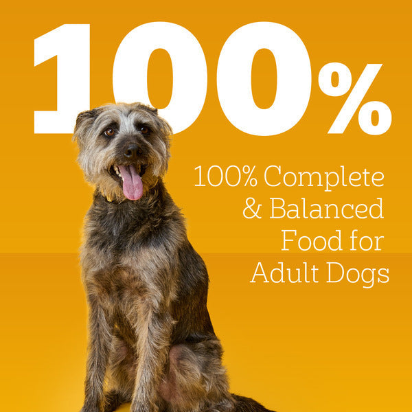 Pedigree Traditional Ground Dinner Chicken &amp; Rice Wet Dog Food