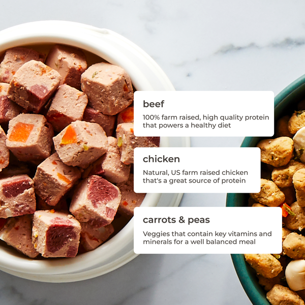 Freshpet Fresh Dog Food, Chunky Beef &amp; Carrot Recipe Roll