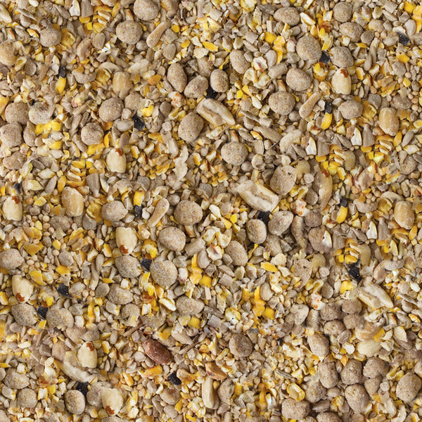 Kaytee Peanut Seed &amp; Suet Wild Bird Food