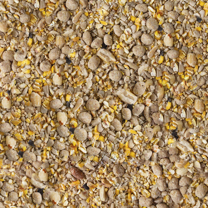 Kaytee Peanut Seed &amp; Suet Wild Bird Food