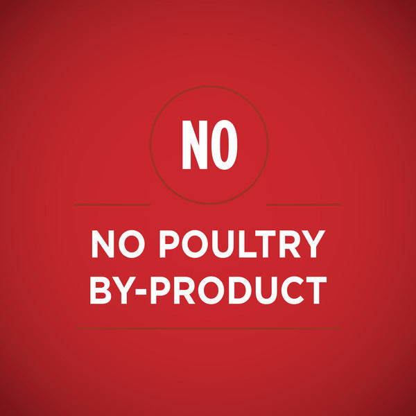Purina ONE Weight Management, Natural Wet Dog Food, SmartBlend Healthy Weight Tender Cuts Lamb &amp; Brown Rice