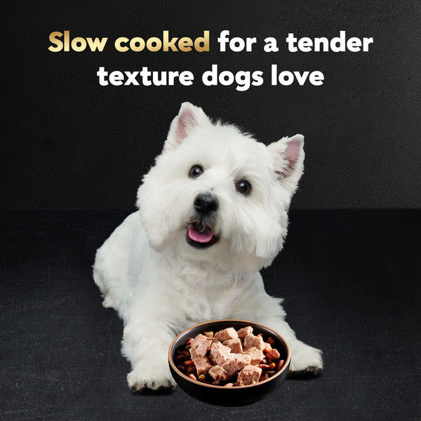 Cesar Loaf in Sauce Adult Wet Dog Food Top Sirloin Flavor, 3.5 oz. Tray
