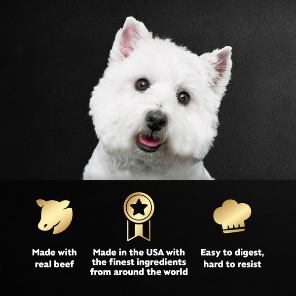 Cesar Filets in Gravy Wet Dog Food Variety Pack