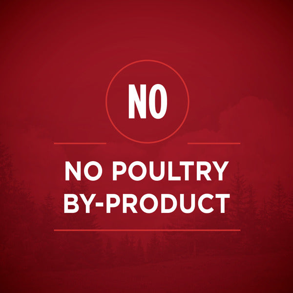 Purina ONE Natural, High Protein Gravy Wet Dog Food, SmartBlend True Instinct Real Turkey &amp; Venison
