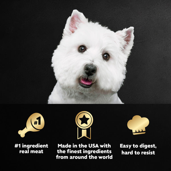 Cesar Loaf in Sauce Adult Wet Dog Food Beef Recipe, 3.5 oz. Tray
