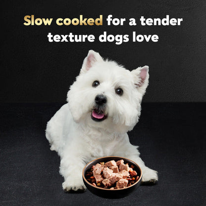 Cesar Loaf in Sauce Adult Wet Dog Food Turkey Recipe, 3.5 oz. Tray