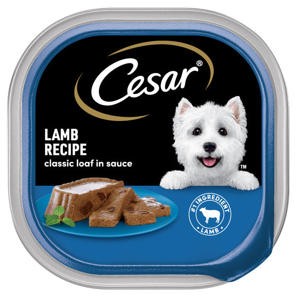 Cesar Loaf in Sauce Adult Wet Dog Food Lamp Recipe, 3.5 oz. Tray