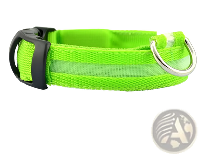 Led Dog Collar Night Safety Glowing Nylon Pet Leash
