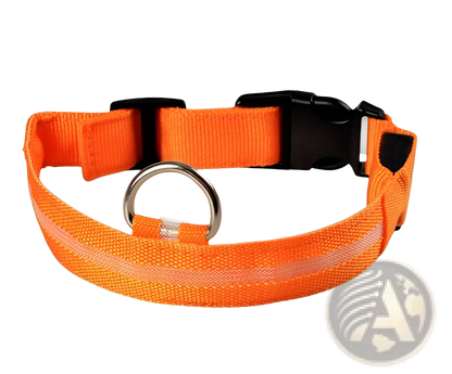 Led Dog Collar Night Safety Glowing Nylon Pet Leash