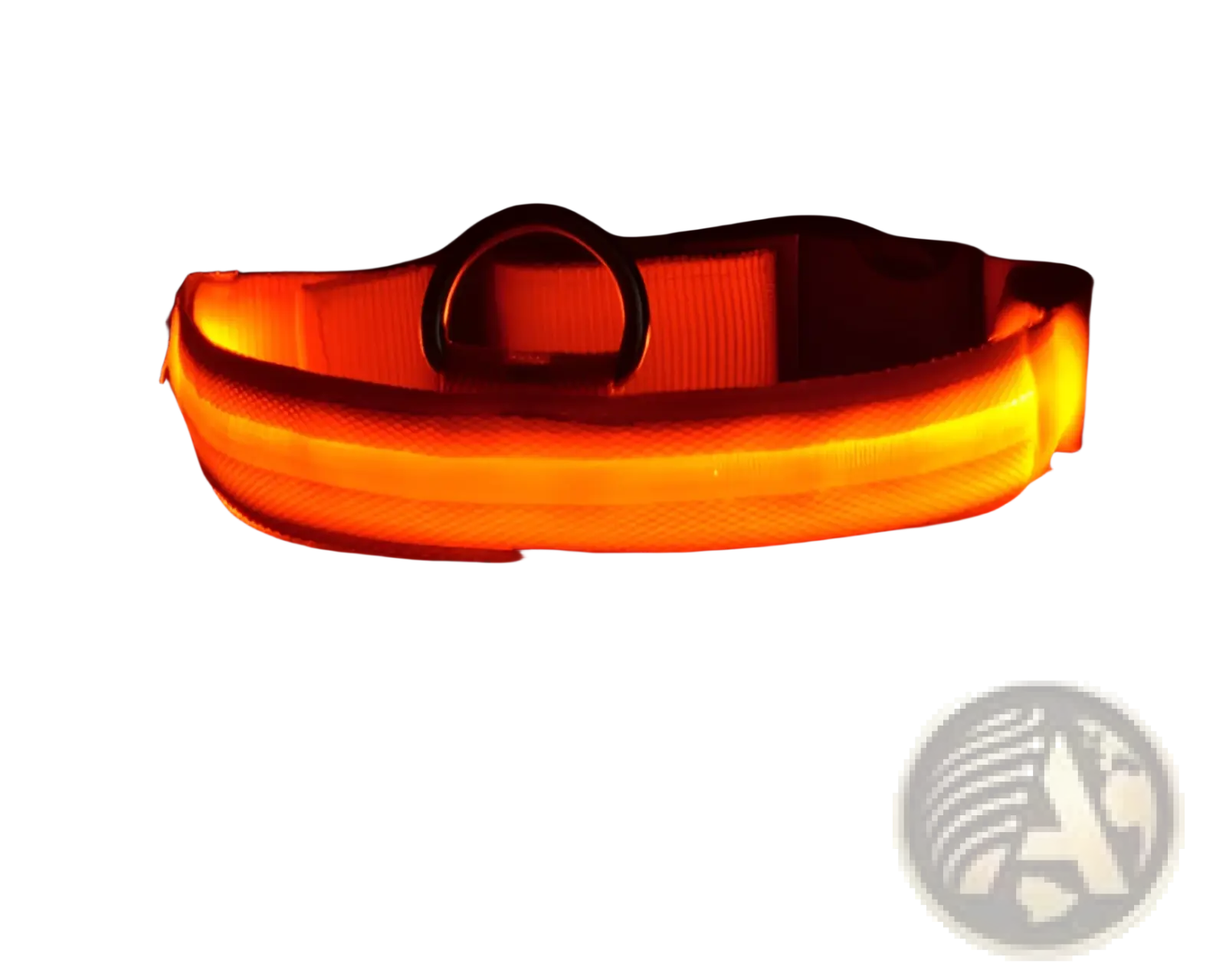 Led Dog Collar Night Safety Glowing Nylon Pet Leash