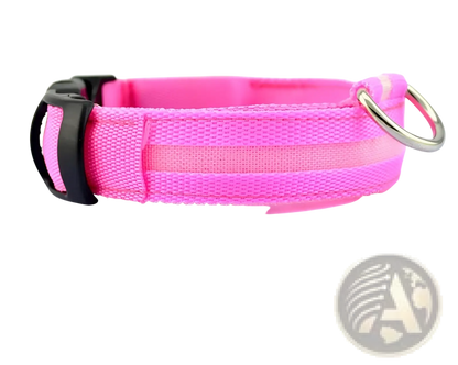Led Dog Collar Night Safety Glowing Nylon Pet Leash