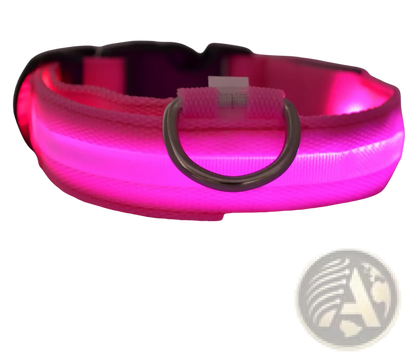 Led Dog Collar Night Safety Glowing Nylon Pet Leash
