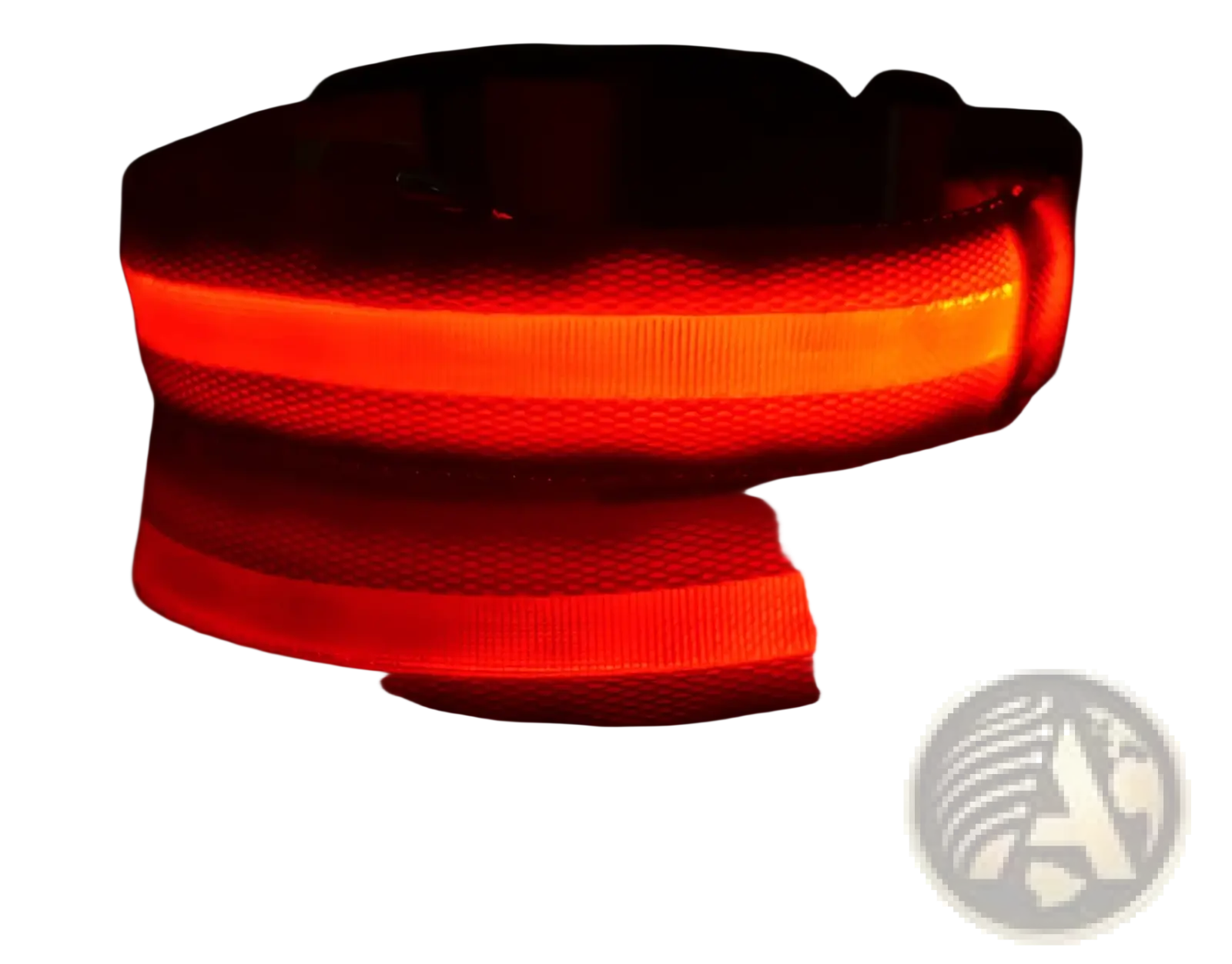 Led Dog Collar Night Safety Glowing Nylon Pet Leash