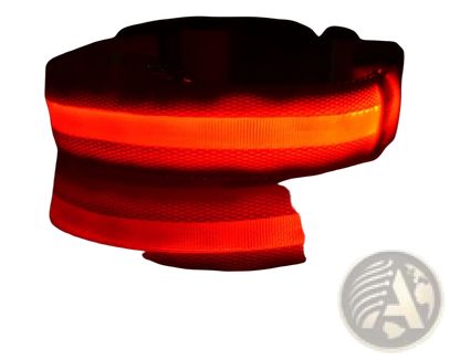 Led Dog Collar Night Safety Glowing Nylon Pet Leash