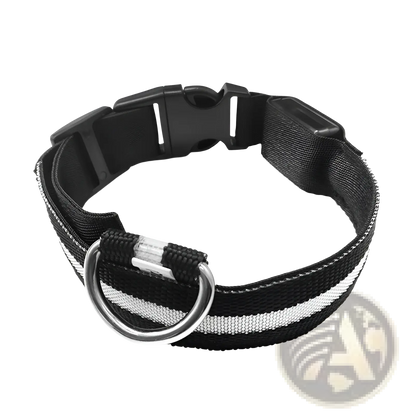 Led Dog Collar Night Safety Glowing Nylon Pet Leash