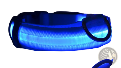 Led Dog Collar Night Safety Glowing Nylon Pet Leash