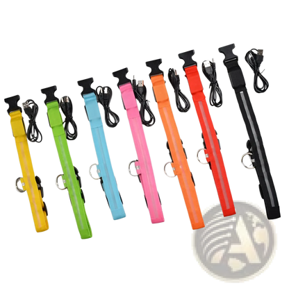 Led Dog Collar Night Safety Glowing Nylon Pet Leash