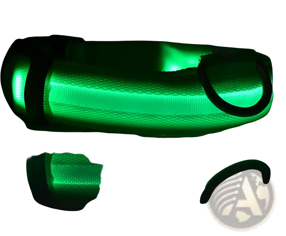 Led Dog Collar Night Safety Glowing Nylon Pet Leash