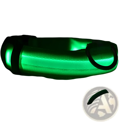 Led Dog Collar Night Safety Glowing Nylon Pet Leash