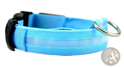 Led Dog Collar Night Safety Glowing Nylon Pet Leash
