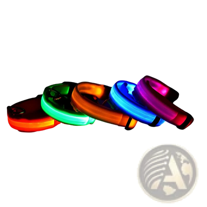 Led Dog Collar Night Safety Glowing Nylon Pet Leash