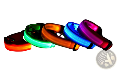 Led Dog Collar Night Safety Glowing Nylon Pet Leash